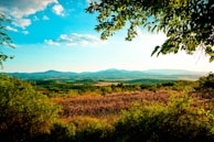 A vibrant landscape photograph showcasing nature's beauty.