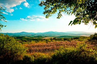 A vibrant watercolor landscape with rolling hills.