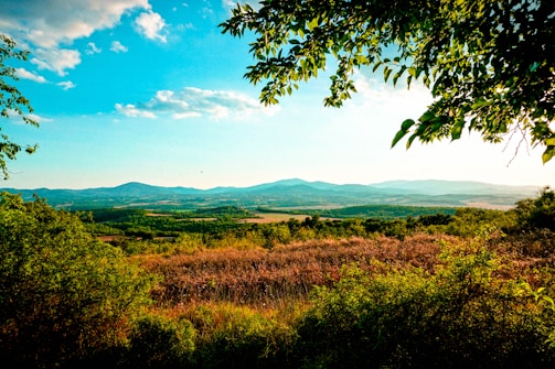 A vibrant watercolor landscape with rolling hills.