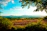 Close-up of a vibrant landscape photo printed on high-quality matte paper.