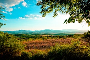 A vibrant image showcasing a beautiful landscape.