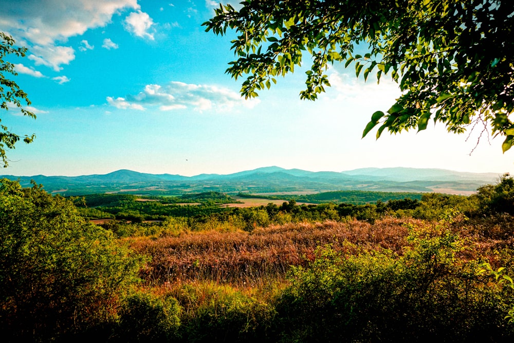 a scenic view of a valley and mountains in the distance