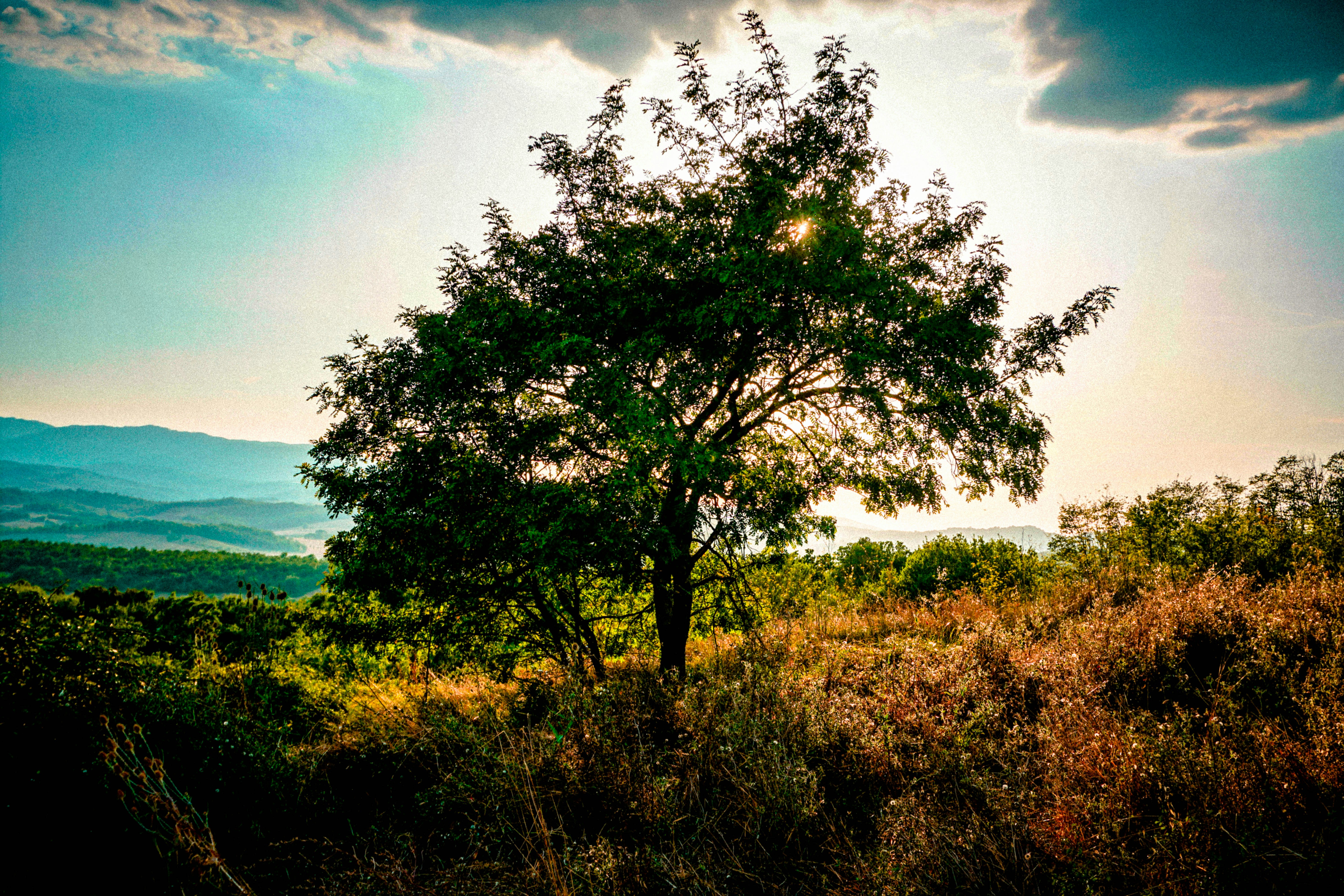 Photo by umbertodicapua