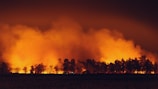 A large wildfire engulfs a forest, with intense flames and thick smoke rising into the dark sky. The silhouettes of trees are outlined against the fiery backdrop, creating a dramatic scene.