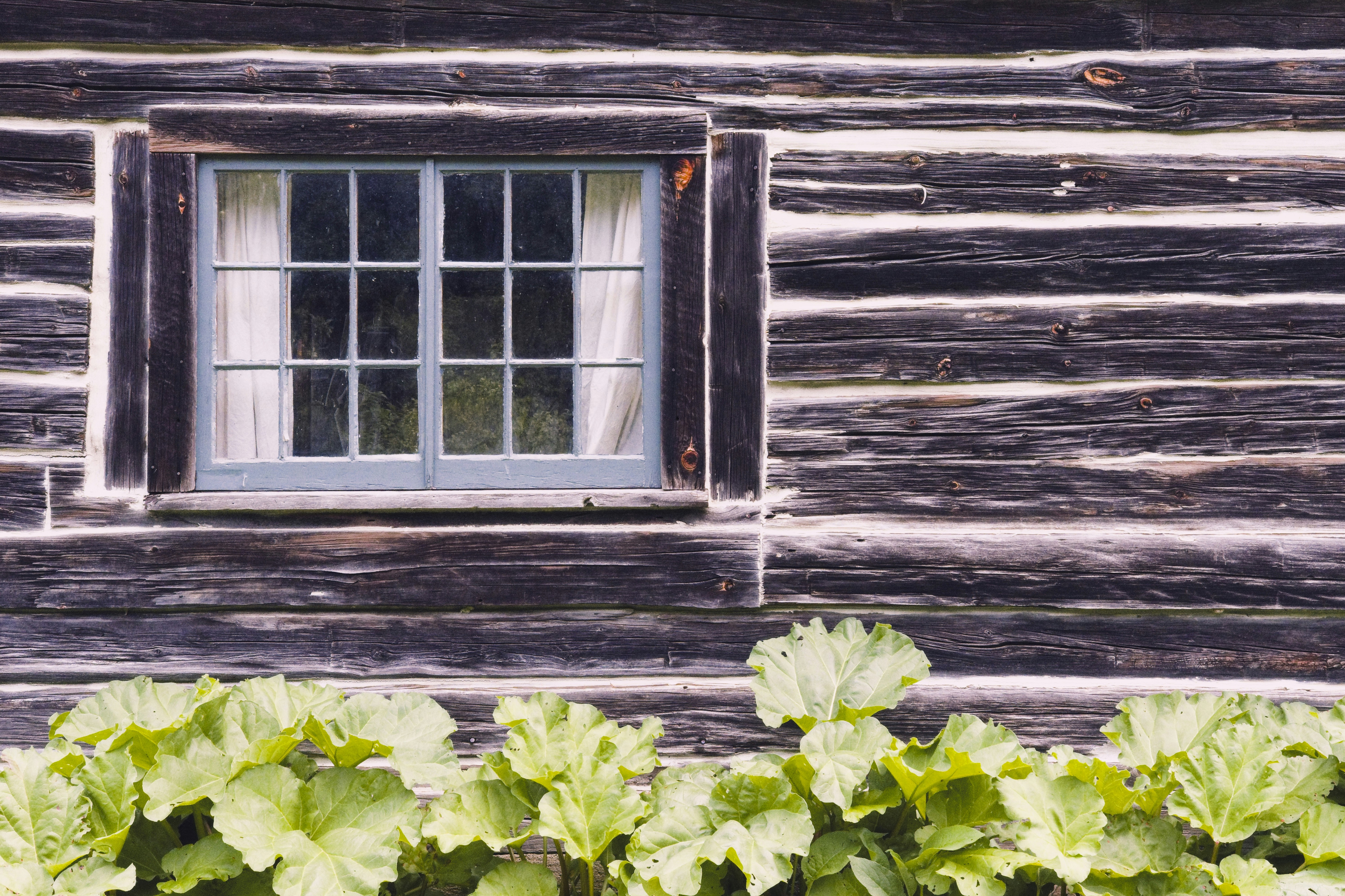 rustic cabin wallpaper, wallpaper, Home Security While Camping: Keep Your Property Safe 2