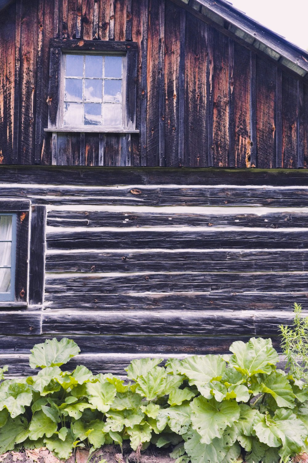 a wooden building with a window and plants in front of it