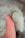 A close-up image of a human hand gently holding a small, furry animal paw. The human's thumb is positioned next to the paw, showcasing the bond between the two.