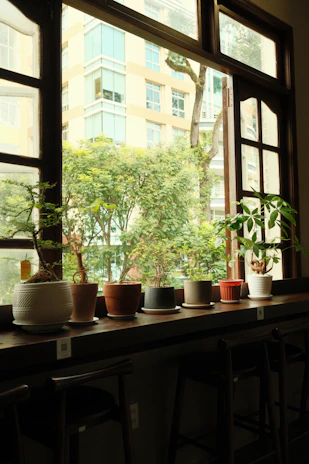 A stylish water flosser set on a city apartment windowsill with an urban skyline background.