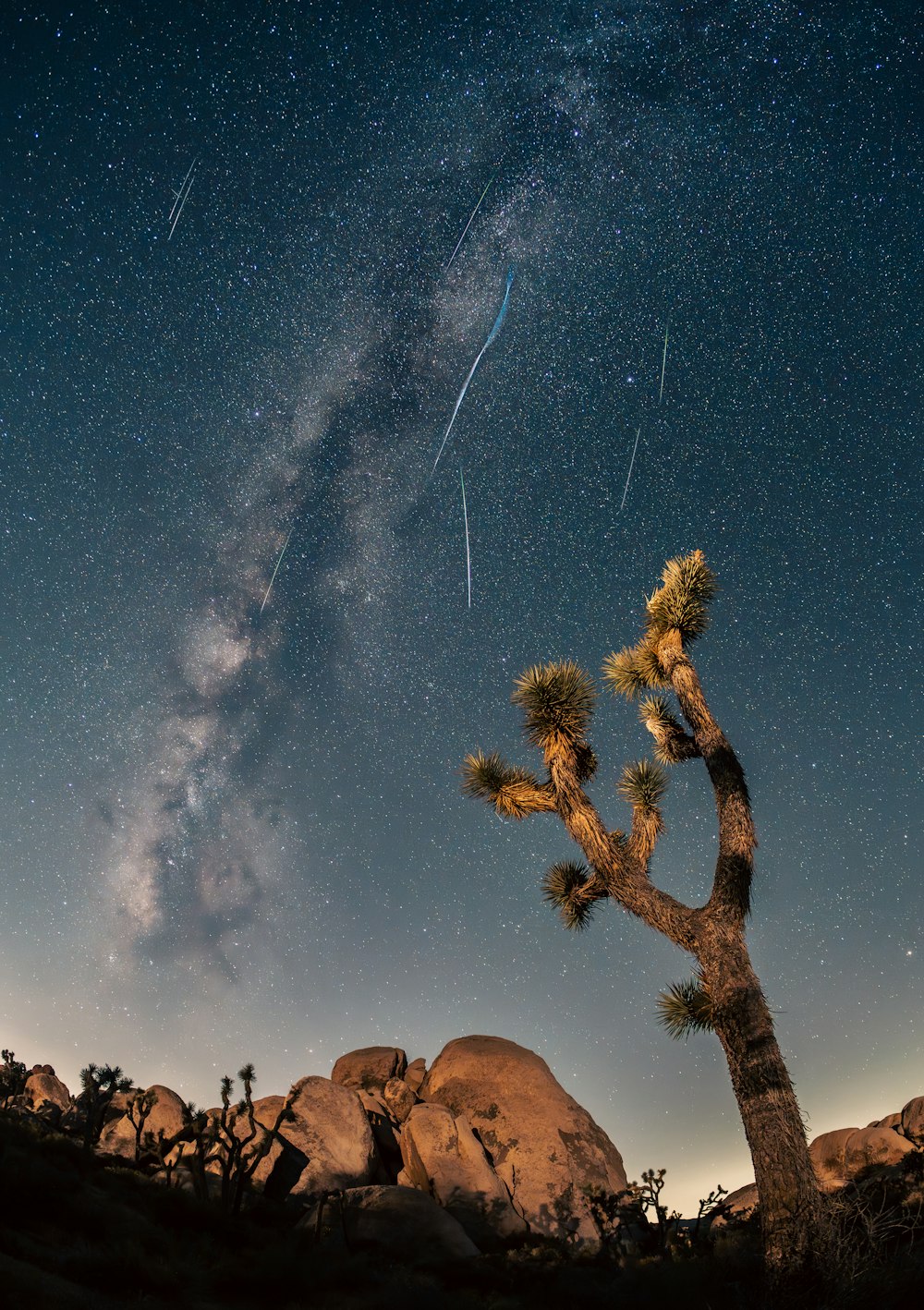 a night sky with a shooting star and a joshua tree