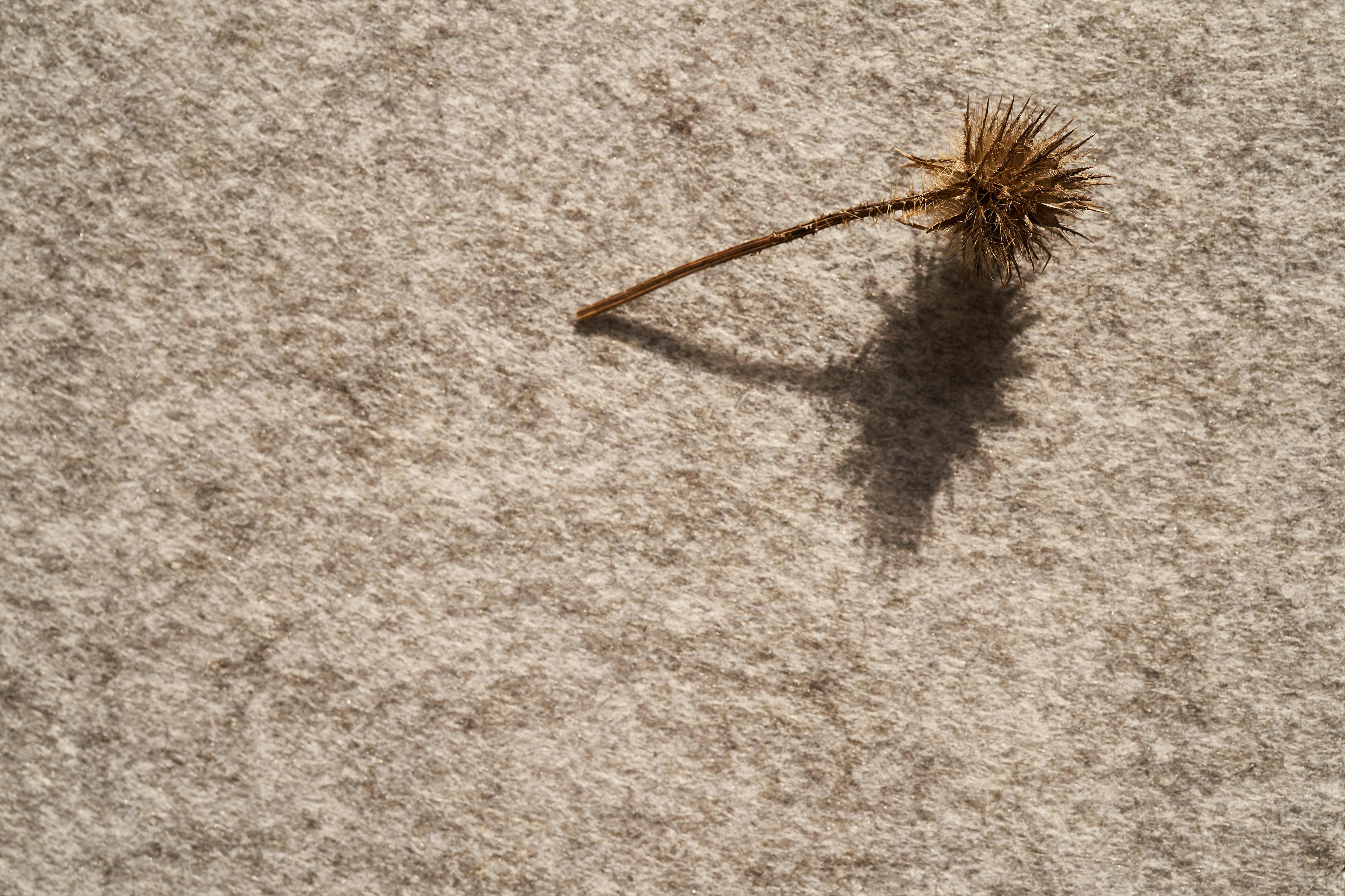 photo-1692367775794-9ace1dd743eb?ixid=M3wxMjA3fDB8MXxzZWFyY2h8MTV8fGNhcnBldCUyMGNsZWFuaW5nJTIwbmVhciUyMG1lfGVufDB8fHx8MTc2MjU4Mjc5OHww\u0026ixlib=rb-4.1.0