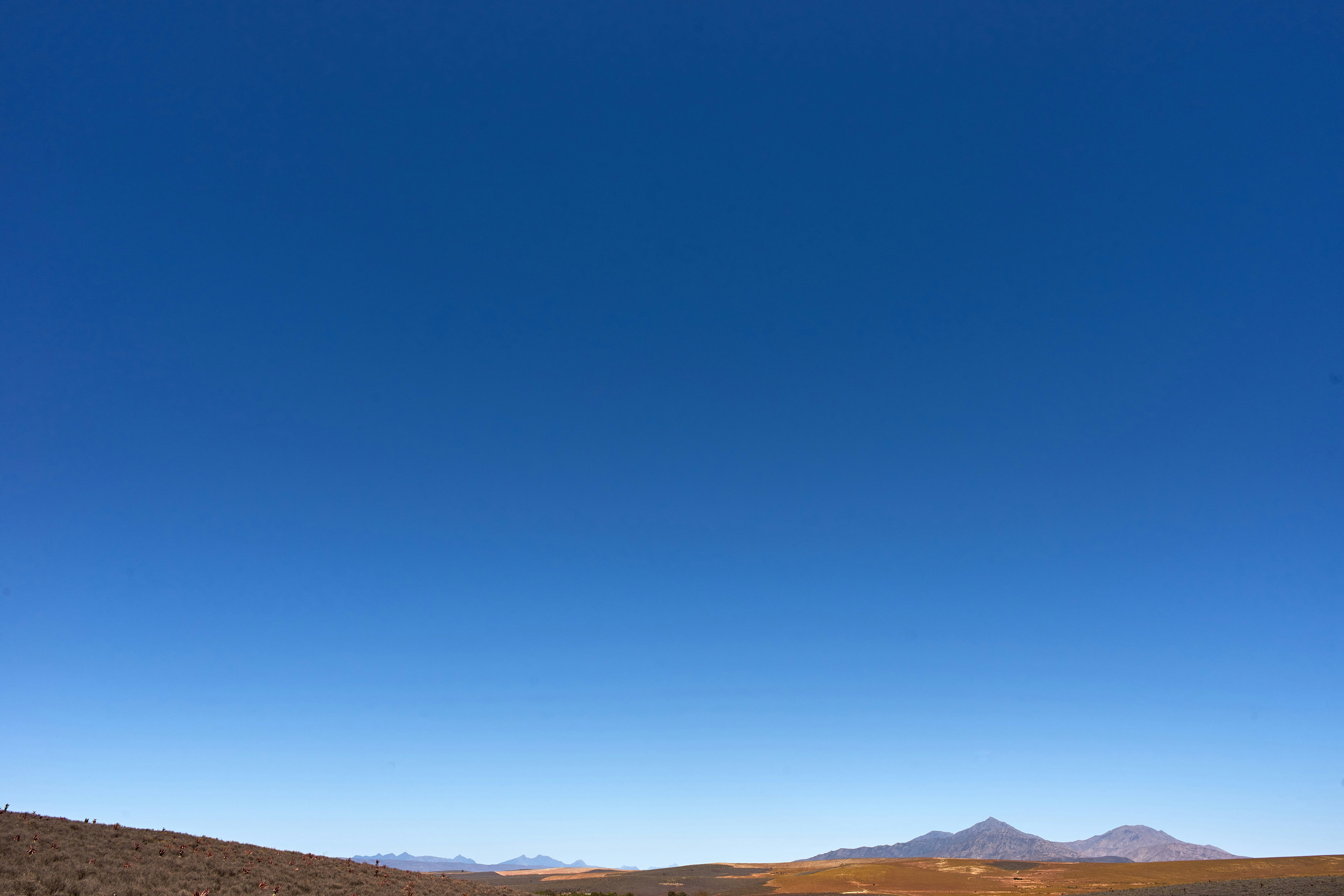 Photo by wolfgang_hasselmann