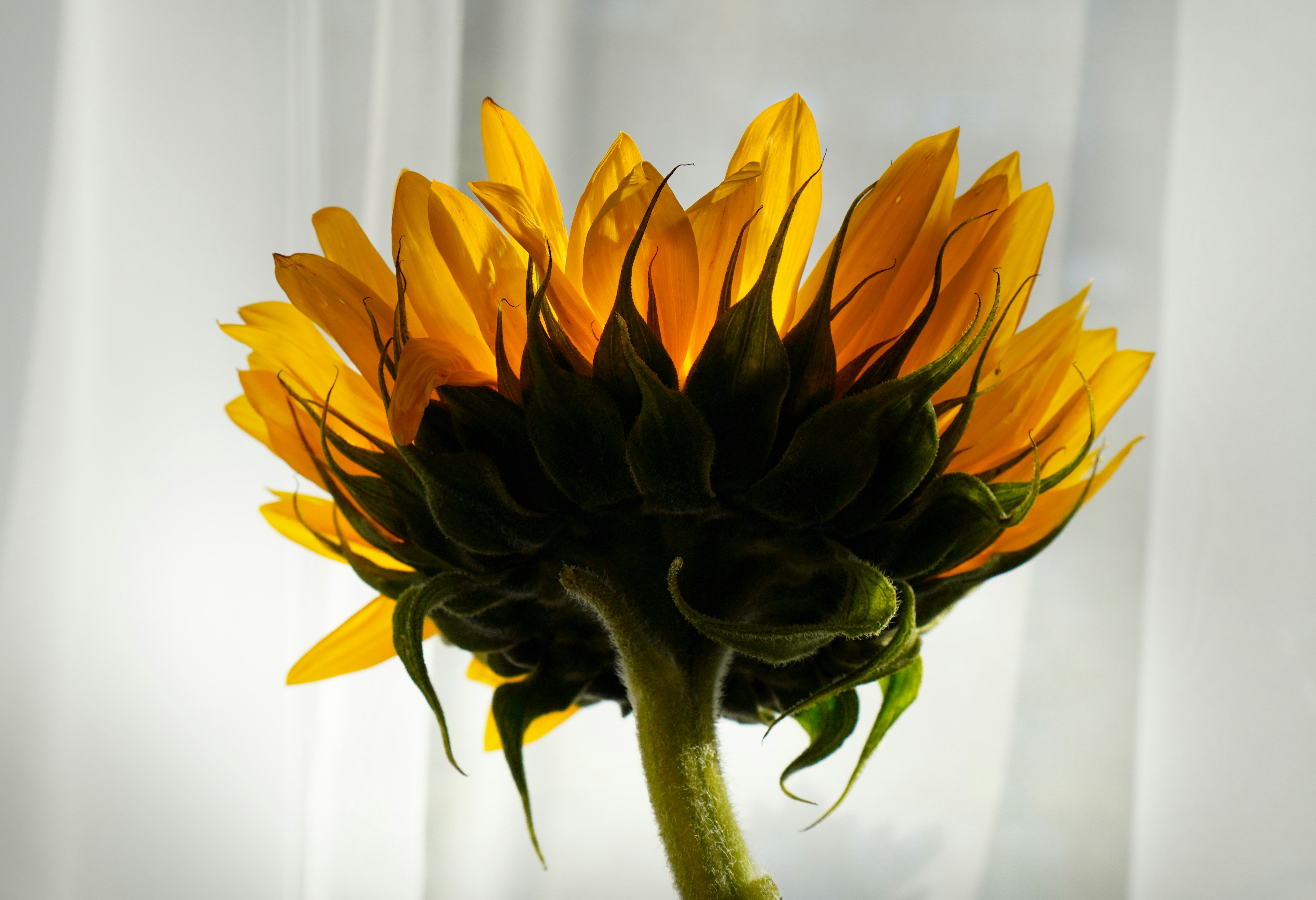 Photo by nataliagasiorowska