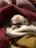 A small dog is nestled comfortably among several blankets of different colors and textures. The dog's face is partially visible with its eyes closed, suggesting it is sleeping or resting. The surrounding blankets are plush and wooly, creating a cozy, warm environment.