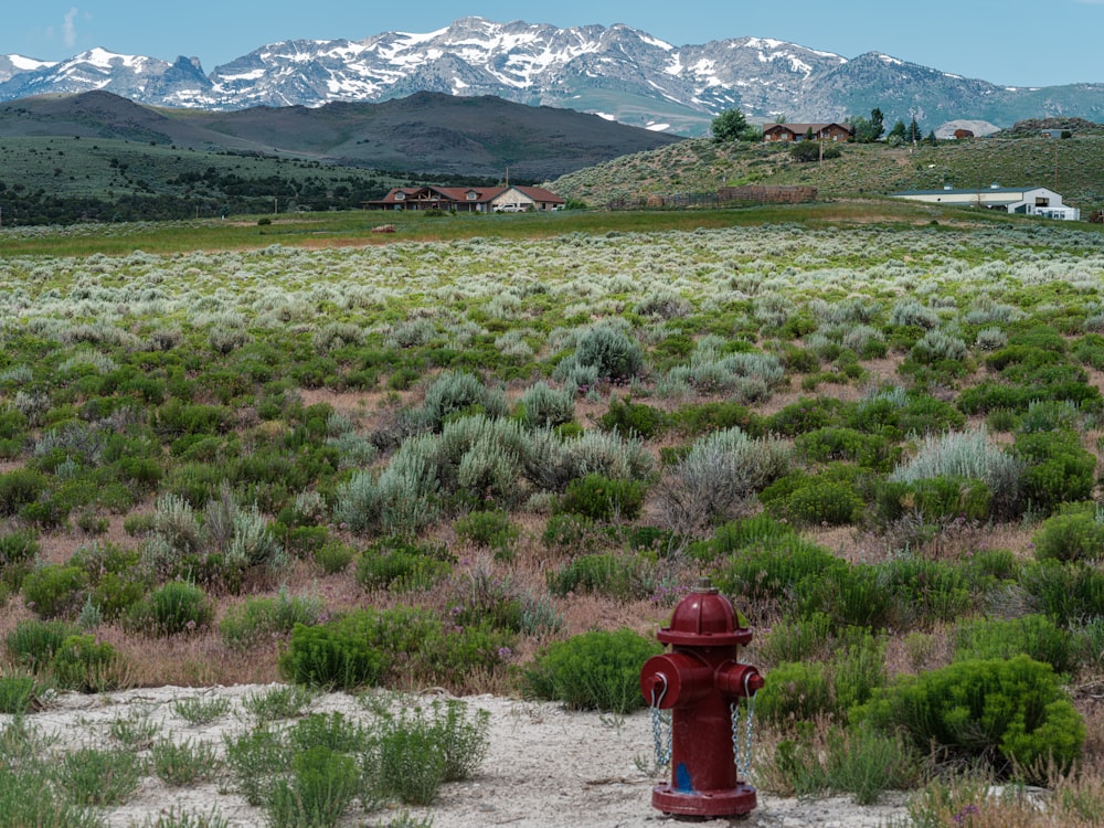 a red fire hydrant sitting in the middle of a field