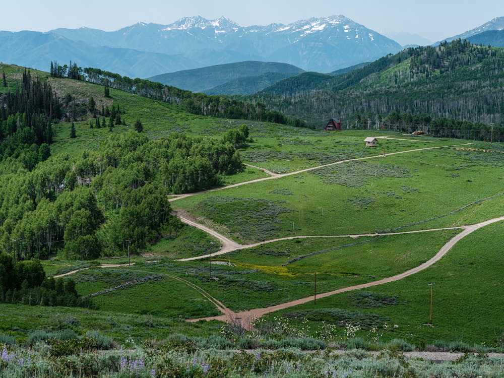 a lush green hillside with a dirt road going through it