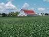 a farm with a barn and a red roof