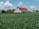 A large red-roofed barn with white walls stands in the midst of a vast green field under a partly cloudy blue sky. Surrounding the barn are other farm buildings, and trees can be seen in the background.