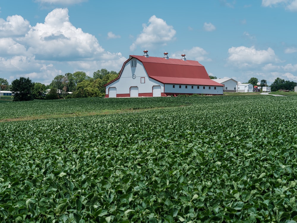 Ein Bauernhof mit einer Scheune und einem roten Dach