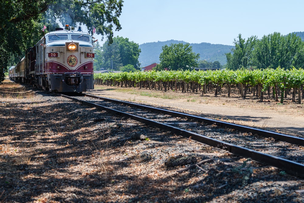 a train traveling through a lush green countryside