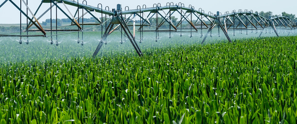 a sprinkler spraying water on a green field