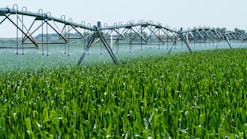 a sprinkler spraying water on a green field