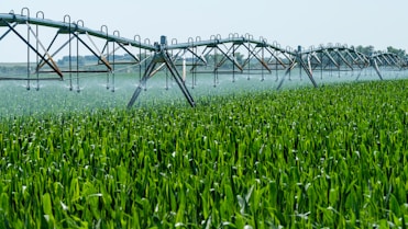 a sprinkler spraying water on a green field