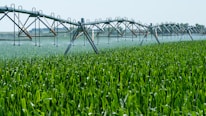 A farmer using an irrigation system in a field.