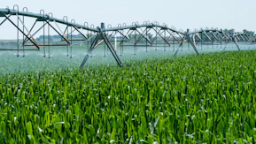 a sprinkler spraying water on a green field