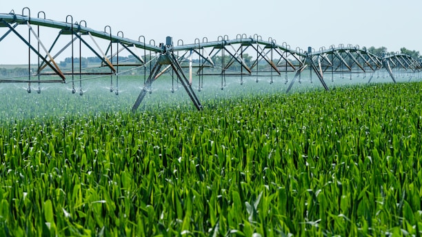 A vibrant field with smart irrigation systems watering crops under a clear blue sky.