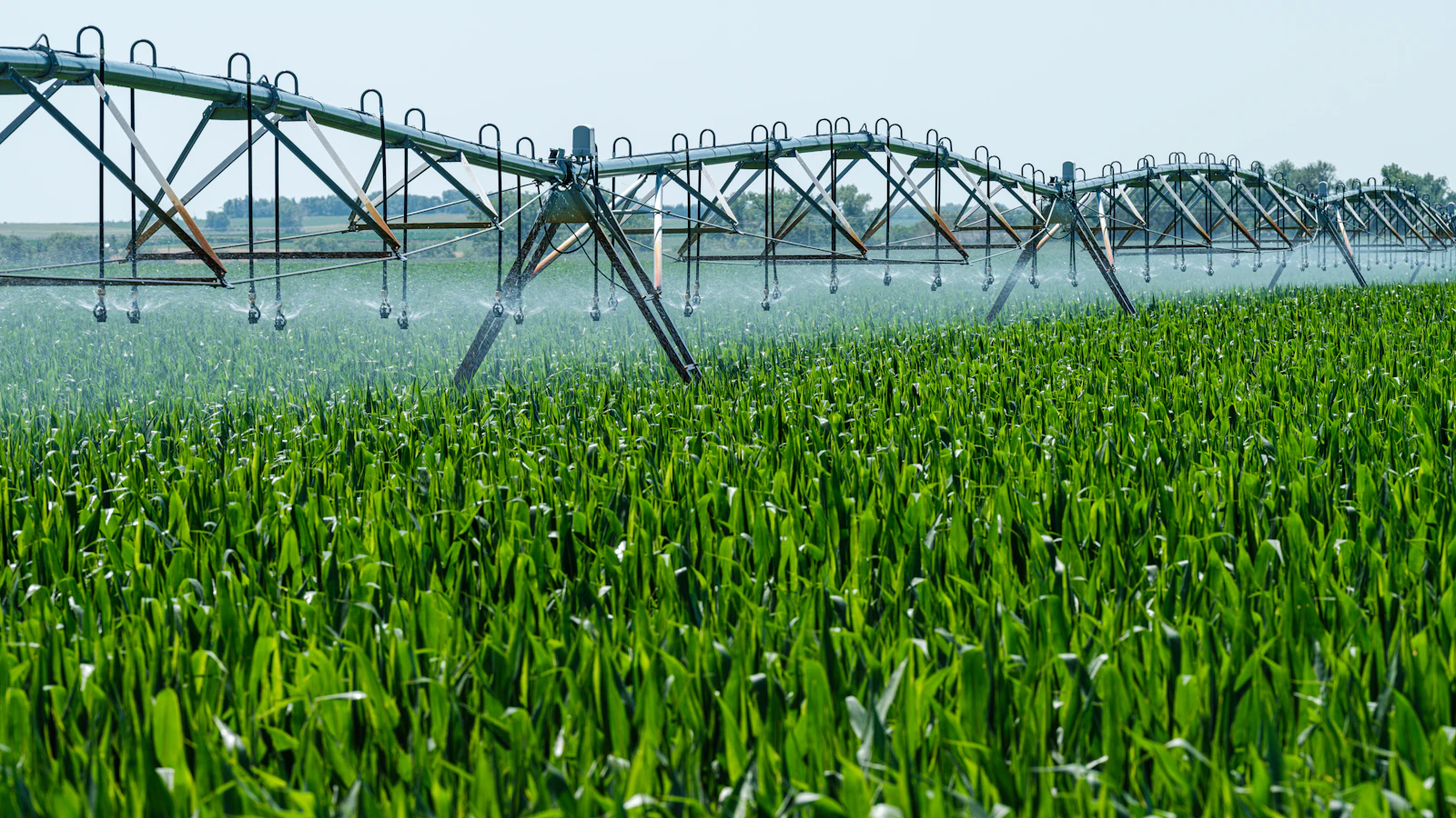 Center-pivot irrigation on green farmland