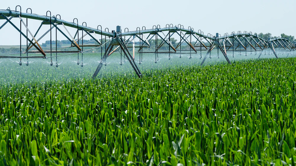 Aspersores de riego agrícola regando un campo verde