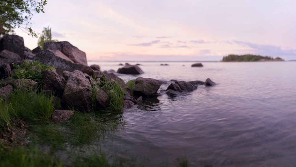 a body of water surrounded by rocks and grass