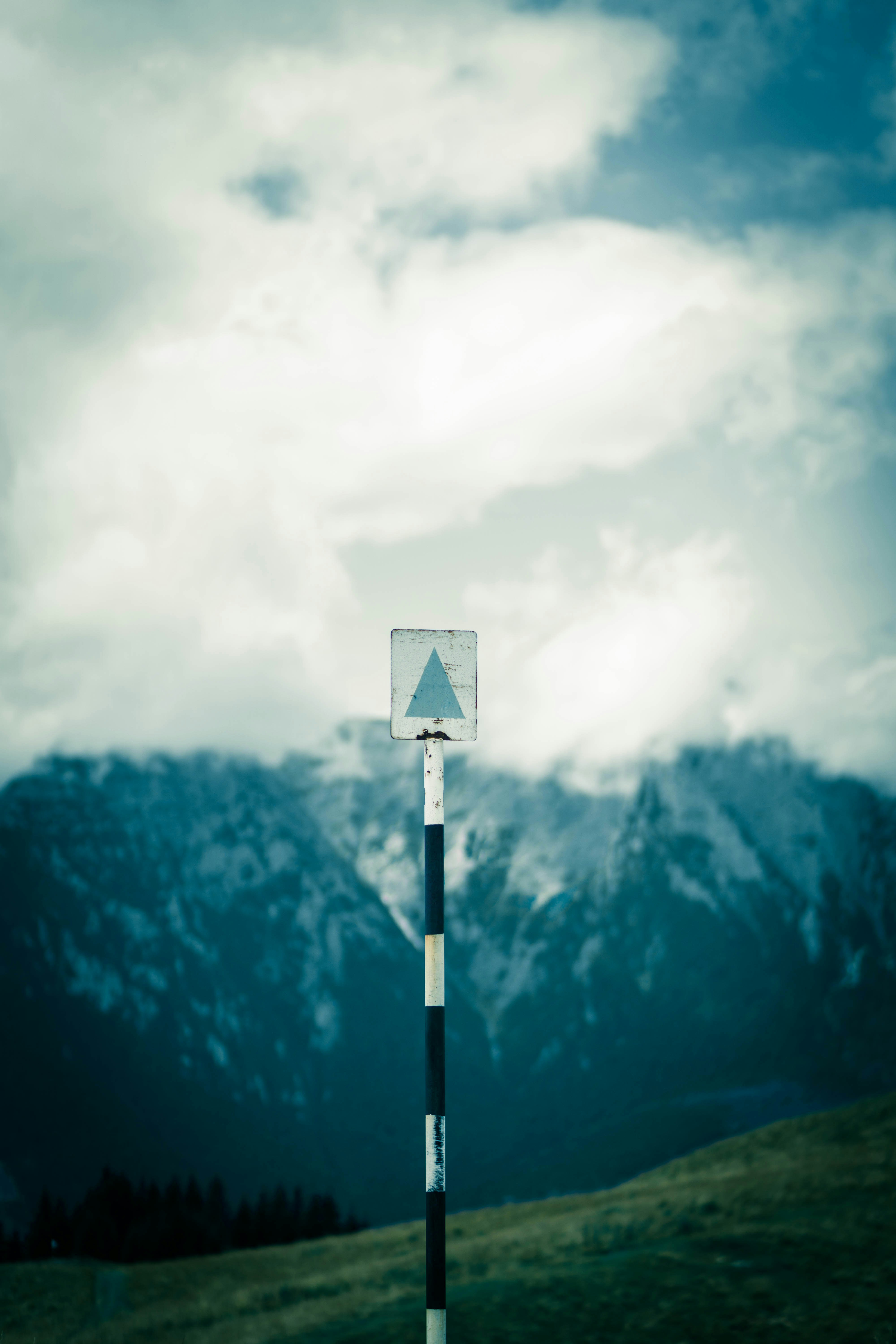 Photo by photosynthesis13