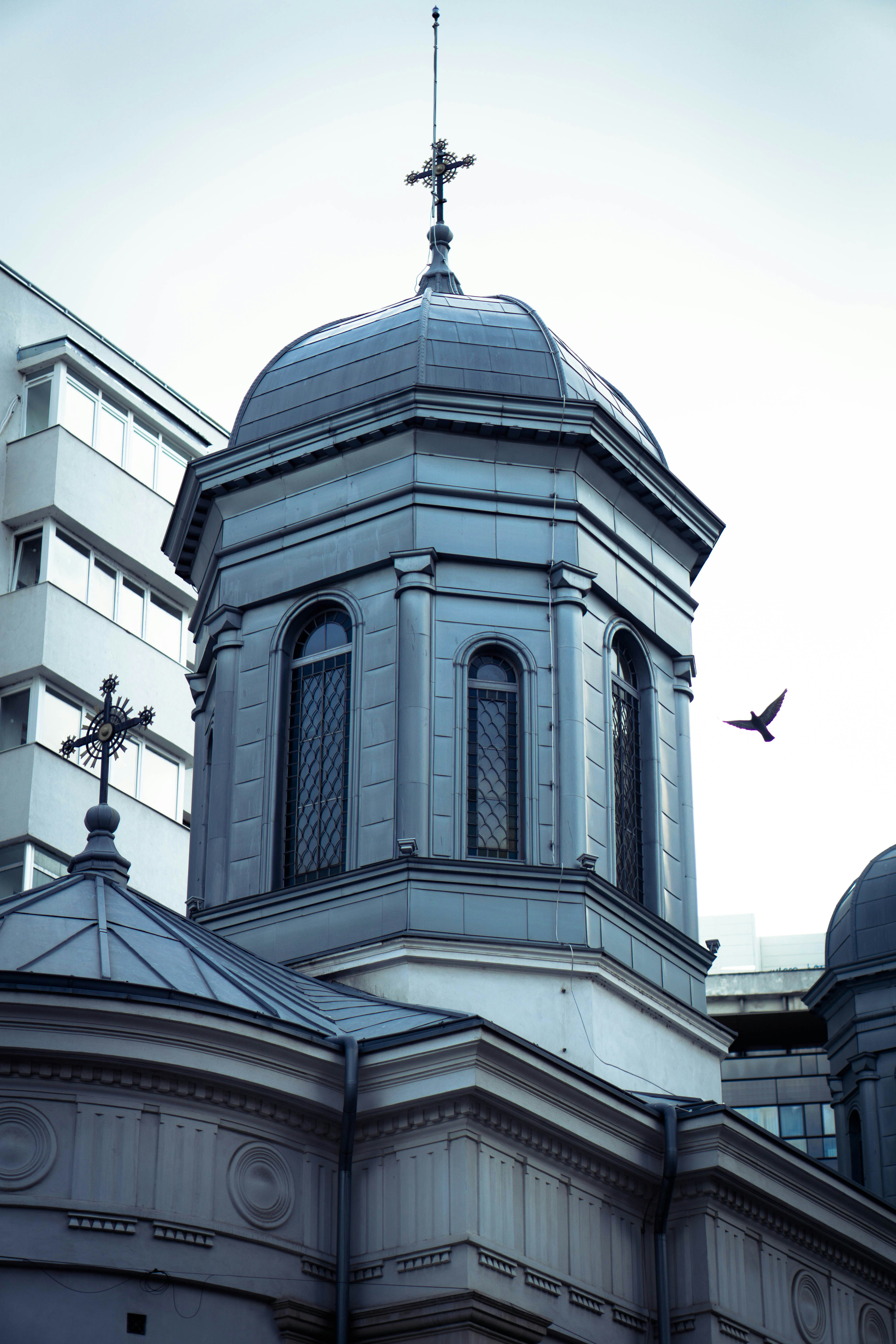 Photo by photosynthesis13