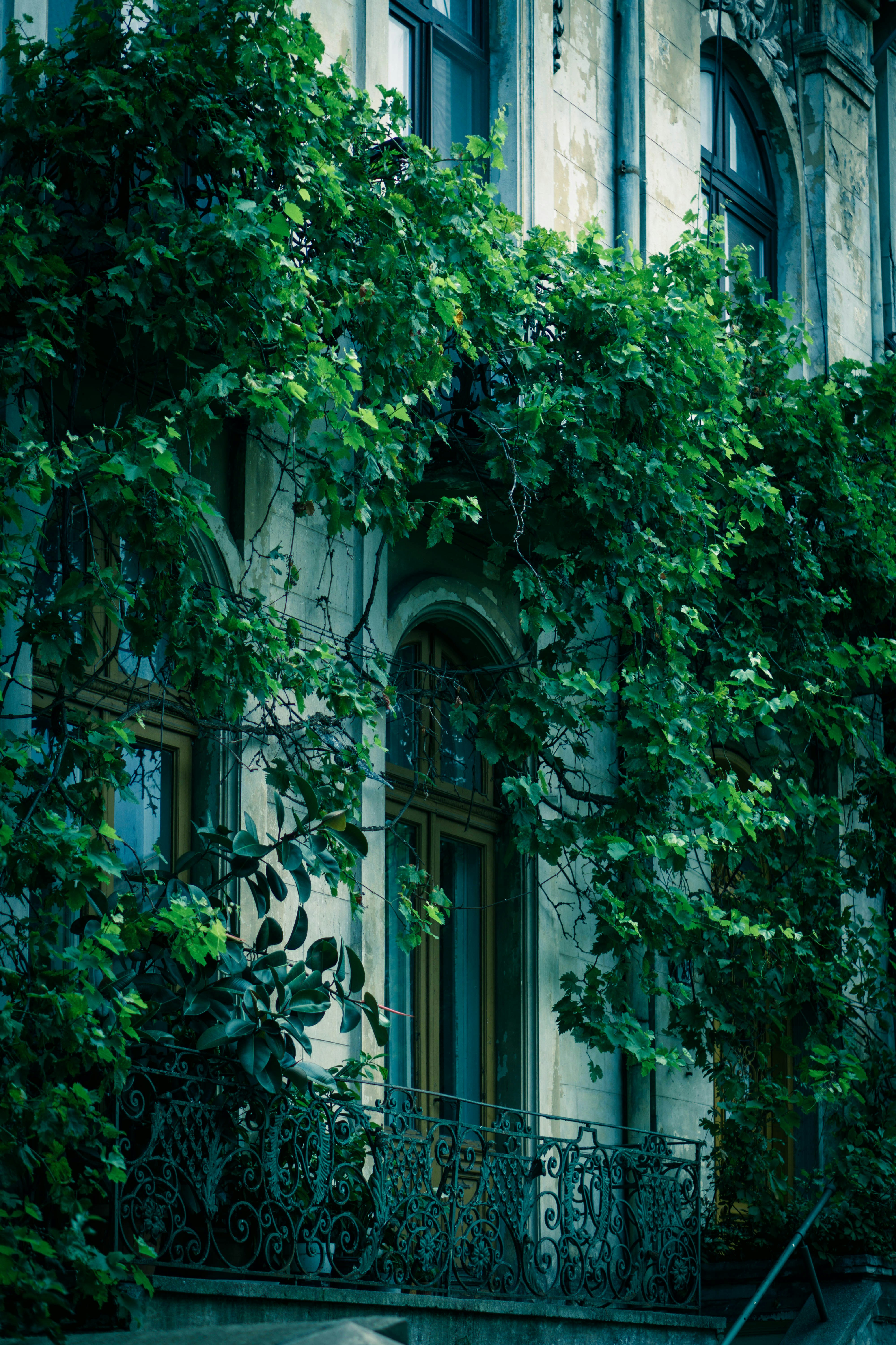 Photo by photosynthesis13