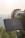 A digital camera with a large lens is positioned to take a photo, with its screen displaying camera settings. Soft sunlight is illuminating the scene against a blurred natural backdrop.