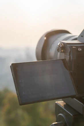 A photographer capturing a large-format photo outdoors with natural light.