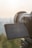 A digital camera with a large lens is positioned to take a photo, with its screen displaying camera settings. Soft sunlight is illuminating the scene against a blurred natural backdrop.