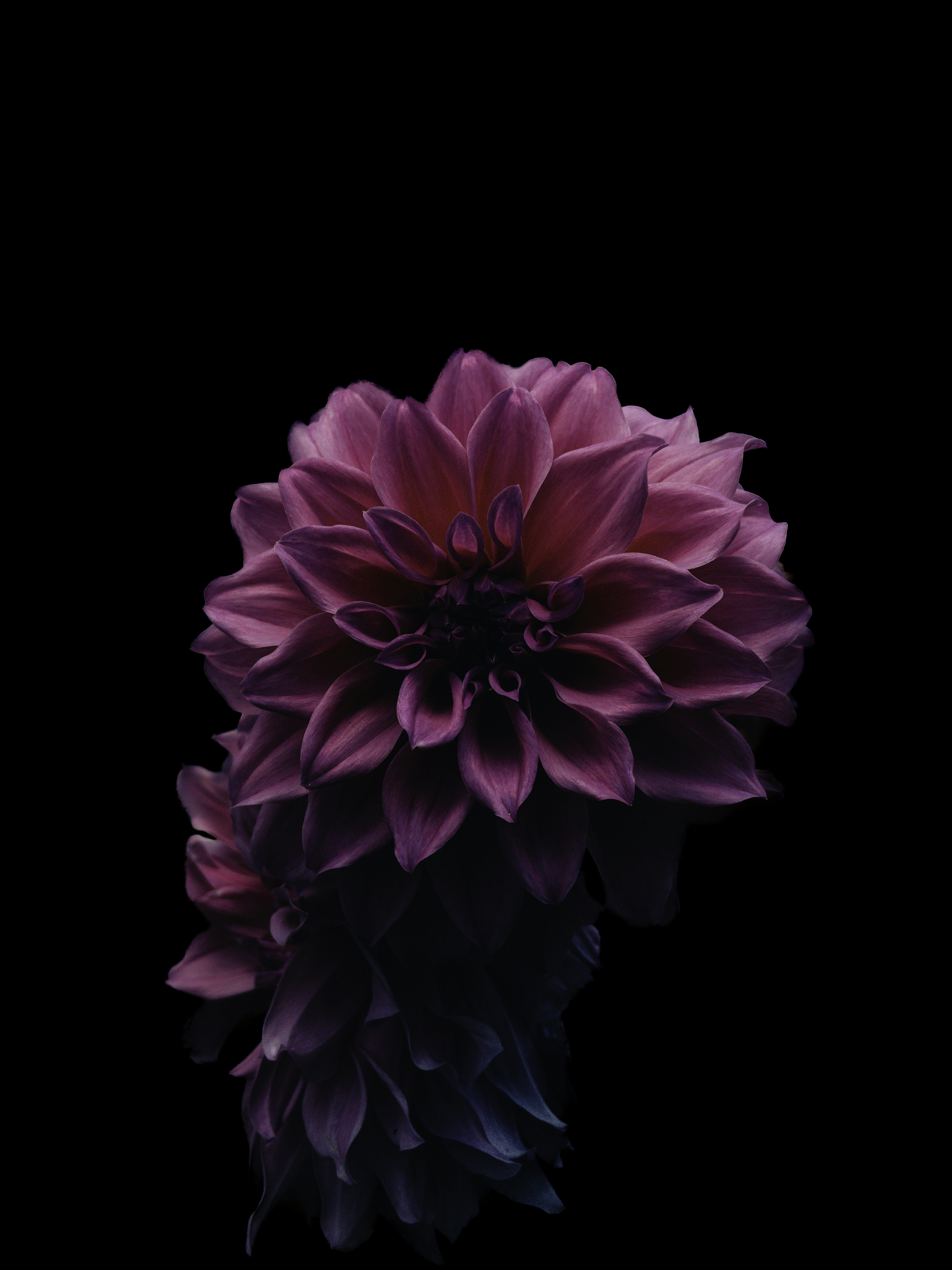 Photo by rounakgupta23