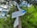 A wooden post with multiple directional signs is situated in a forest area. The signs are in both Ukrainian and English, displaying distances and estimated times to various destinations in a mountainous region. Surrounding the post are lush green trees and foliage.