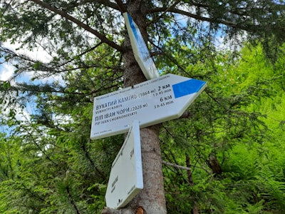 A wooden post with multiple directional signs is situated in a forest area. The signs are in both Ukrainian and English, displaying distances and estimated times to various destinations in a mountainous region. Surrounding the post are lush green trees and foliage.
