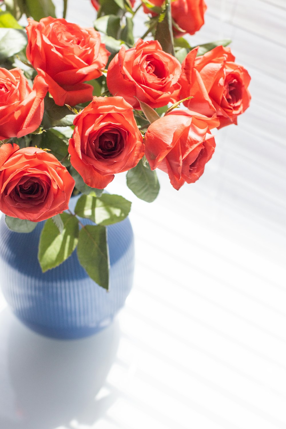 a blue vase filled with red roses on a table