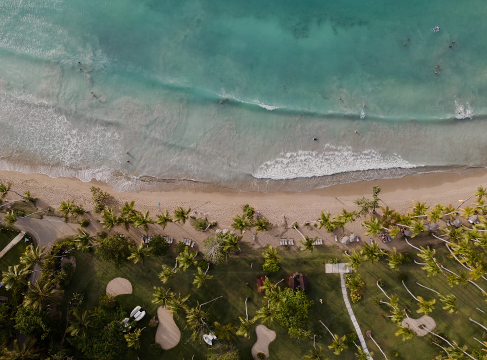 an aerial view of a beach with palm trees