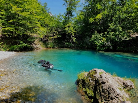 A tranquil scene featuring a clear blue body of water surrounded by lush green forest. Two divers in black gear are swimming near the shore, with rocky formations covered in moss visible in the foreground.
