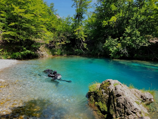 A tranquil scene featuring a clear blue body of water surrounded by lush green forest. Two divers in black gear are swimming near the shore, with rocky formations covered in moss visible in the foreground.