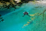 Diver exploring crystal-clear cenote waters surrounded by lush green foliage.