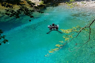 A diver wearing scuba gear floats in a clear, turquoise water body surrounded by lush greenery. The sunlight filters through the branches, casting shadows on the water. Stones and pebbles are visible at the shallow edges.