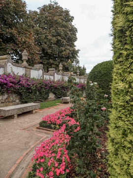 An elegant garden path winding through mixed flowers and ornamental trees.