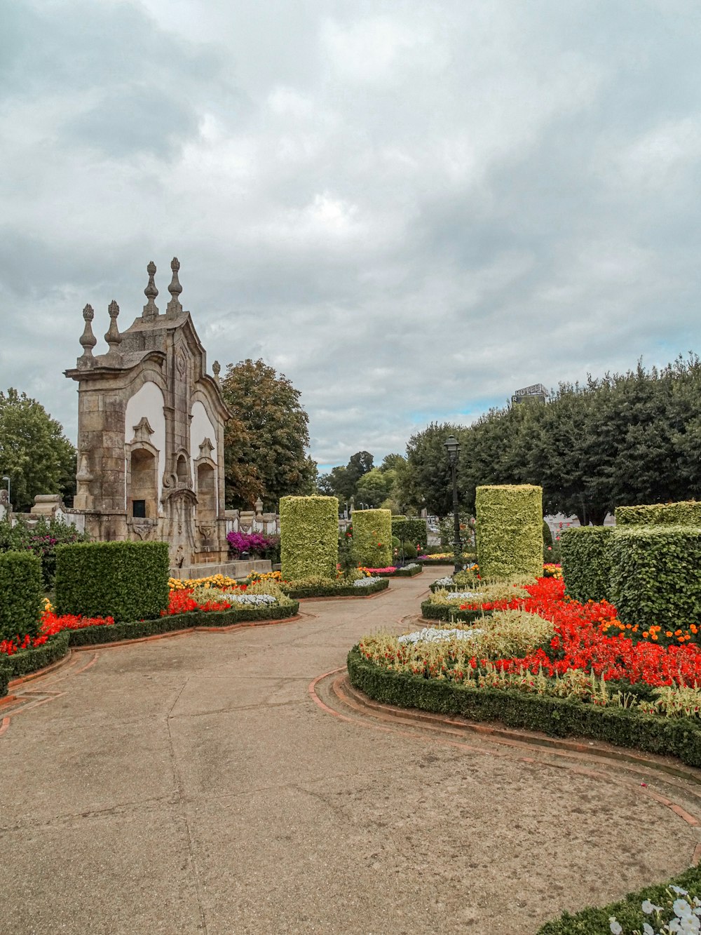 un jardin avec de nombreux types de fleurs