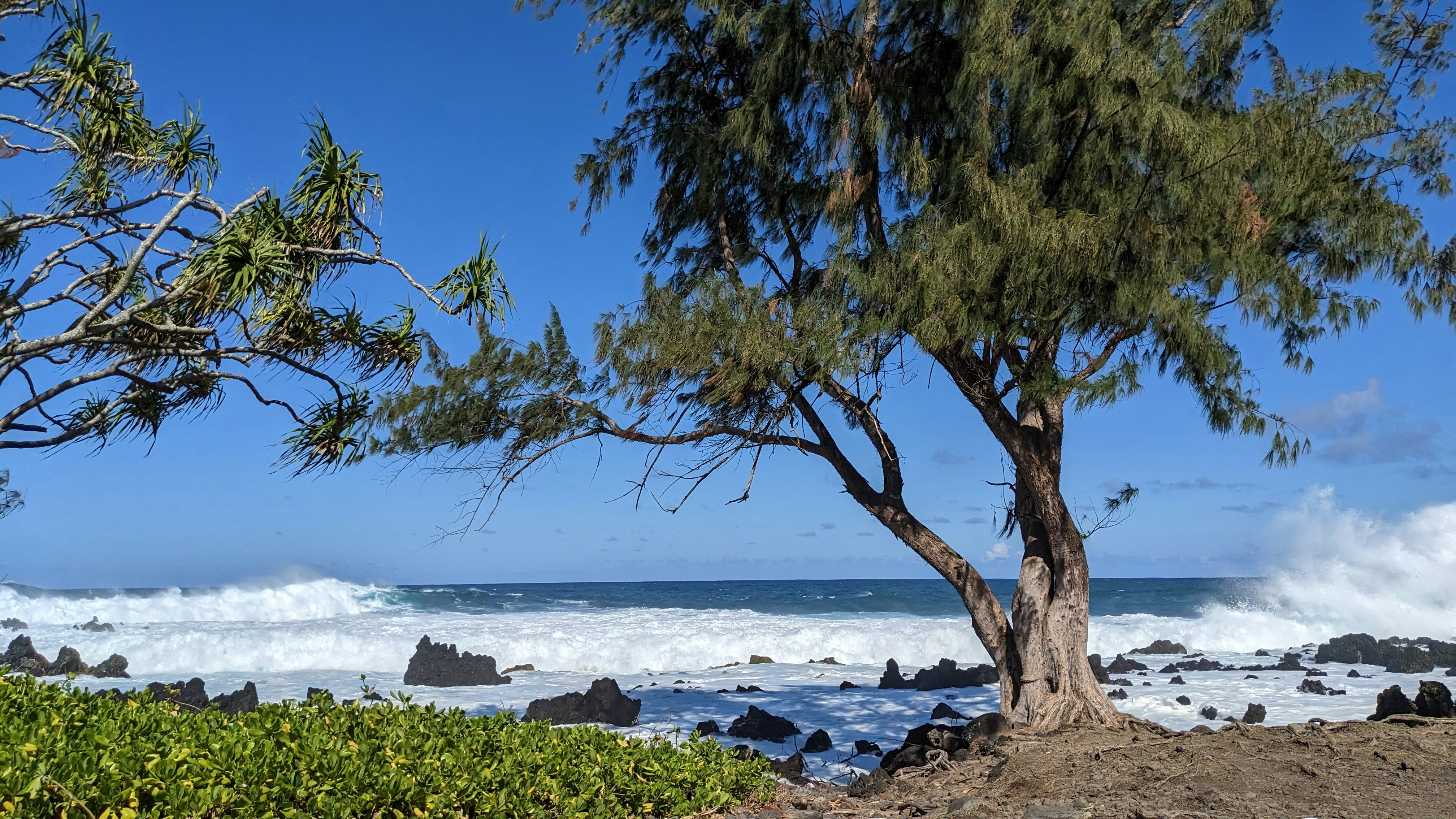 Photo by featurecreep